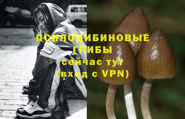 синтетический гашиш Армянск