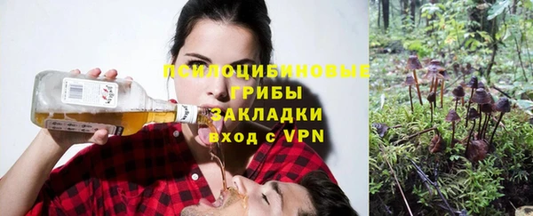 дживик Арсеньев