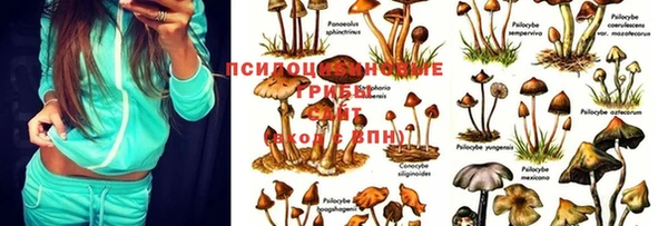 дживик Арсеньев